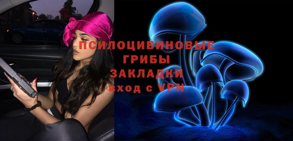 винт Медвежьегорск