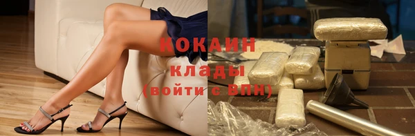 эйфоретик Майский
