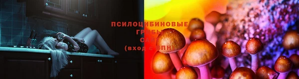 а пвп мука Магадан