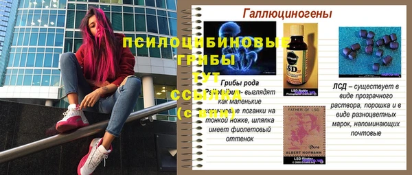 эйфоретик Майский