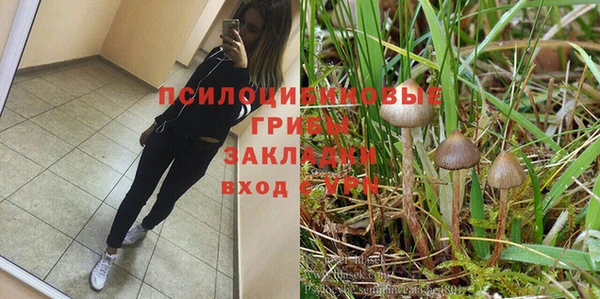эйфоретик Майский