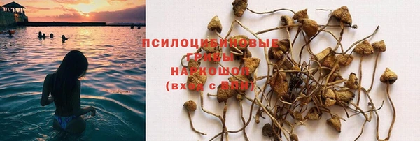 дистиллят марихуана Магас
