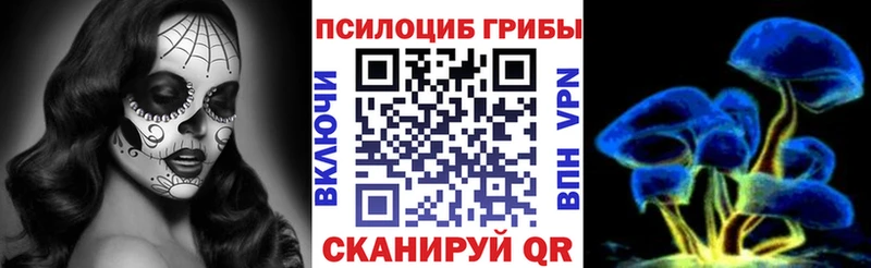 Галлюциногенные грибы Cubensis  Купить где  Ардон 